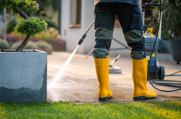 Best Exterior Home Cleaning  in Oak Ridge, FL